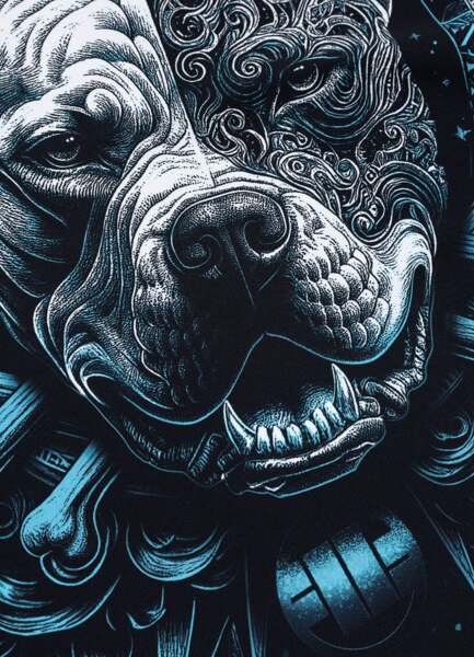 Men's PIT BULL "WORLD" Rashguard Shortsleeve - Black