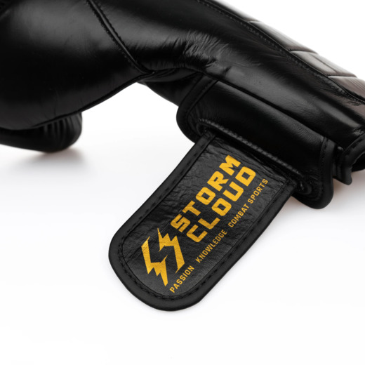 StormCloud "Havoc 2.0" Leather Boxing Gloves - Black/Gold