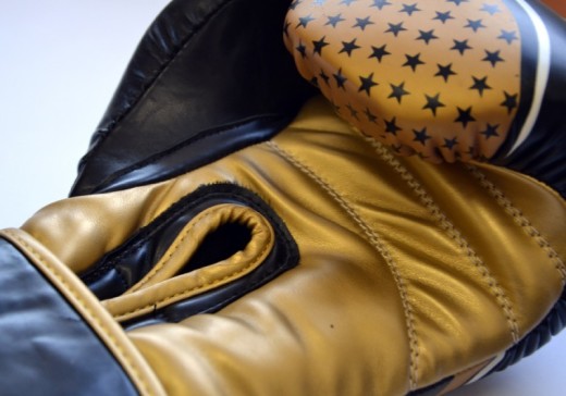 Boxing gloves by Masters RPU-10