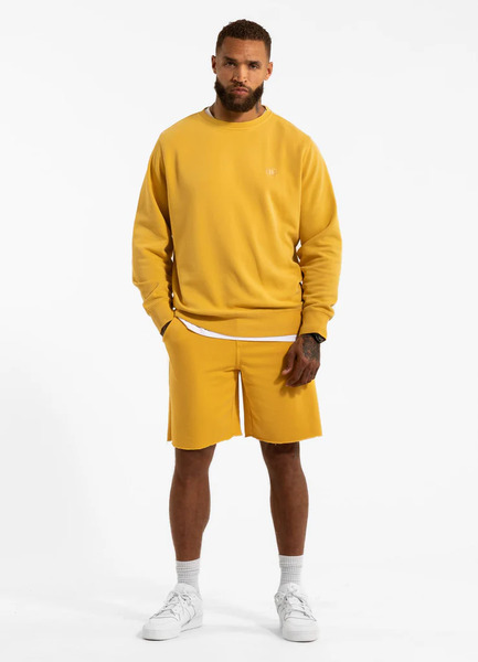 Szorty dresowe męskie WASHED PIT BULL "LANCASTER II" - bordowy