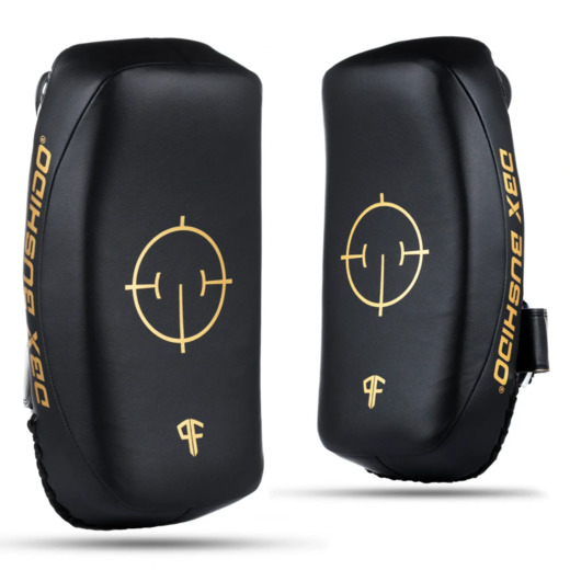 PAO Gold Thai Shields pair | ProFighter | DBX Bushido