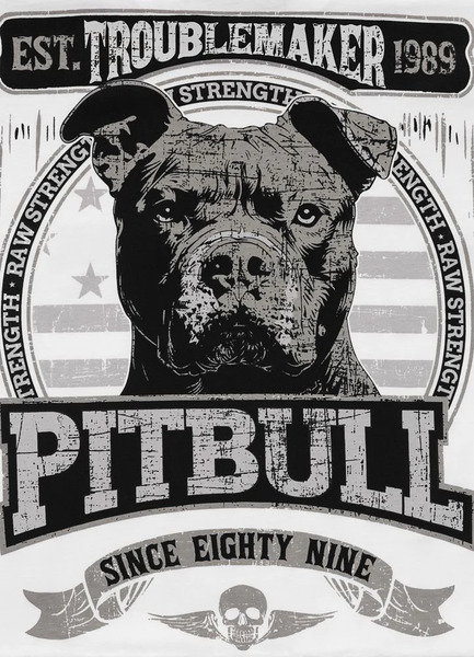 Koszulka PIT BULL "TROUBLEMAKER" - biały