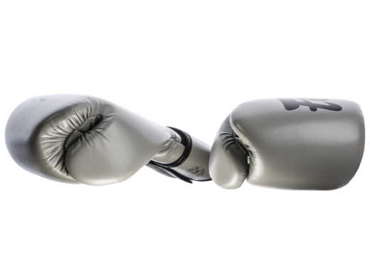  FAIRTEX BOXING GLOVES BGV14 (gray/black piping) "Microfiber" "K"