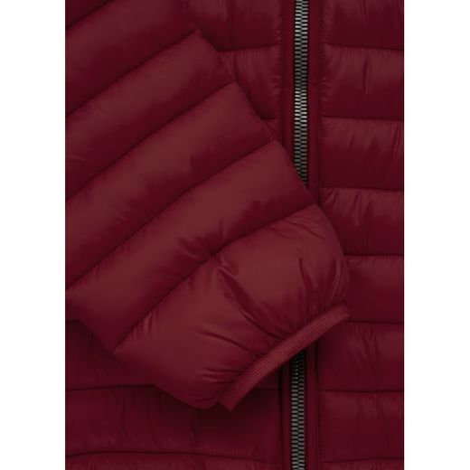 Winter jacket PIT BULL &quot;Tremont 2019&quot; - burgundy