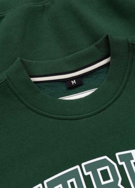 Bluza PIT BULL "SO CAL" - zielony