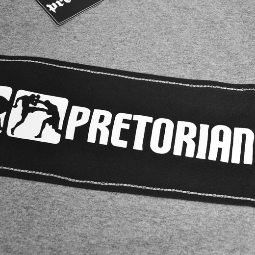 Koszulka panelowa Pretorian "Fight Division" - szara