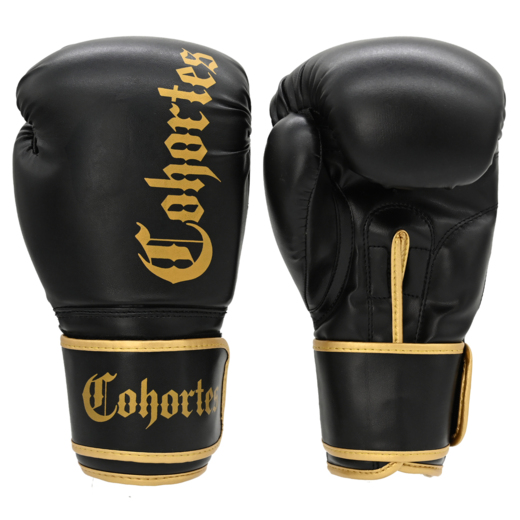Boxing gloves Cohortes "Latus Cohort"
