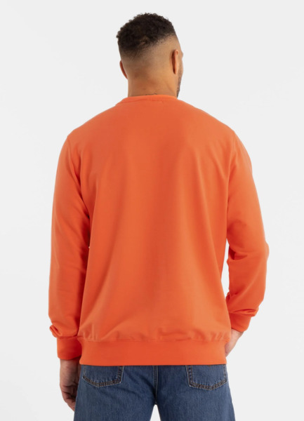 PIT BULL &quot;SURFING DOG&quot; sweatshirt - salmon