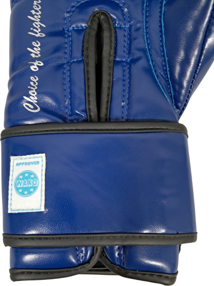 MASTERS RPU-FT Boxing Gloves (WAKO APPROVED) - Blue