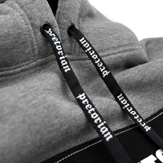 Hoodie Pretorian "Fight Division" - grey