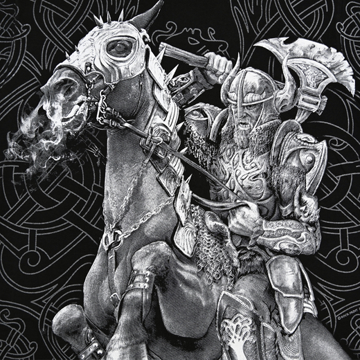 &quot;Viking Rider&quot; HD T-shirt