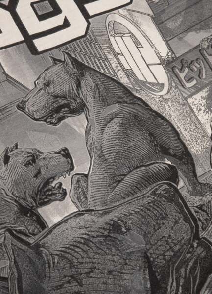 PIT BULL &quot;CITY OF DOG&quot; T-shirt - graphite