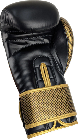 MASTERS RPU-BRUTE Boxing Gloves