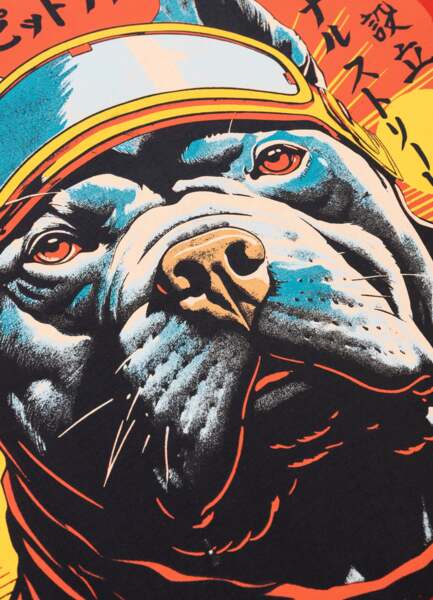 Koszulka PIT BULL "FUJI" - Ognistoczerwona