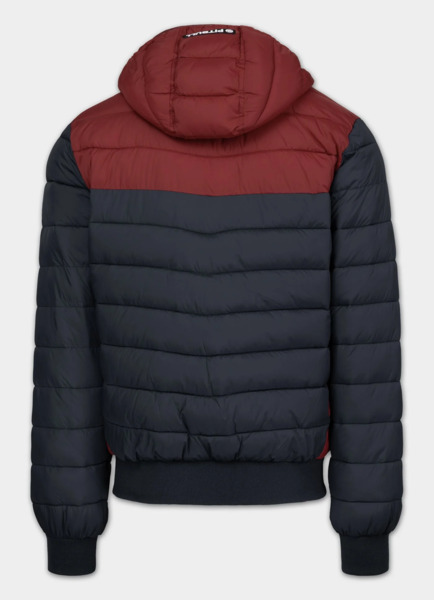 Kurtka zimowa pikowana z kapturem PIT BULL "RUBIO" - granatowy