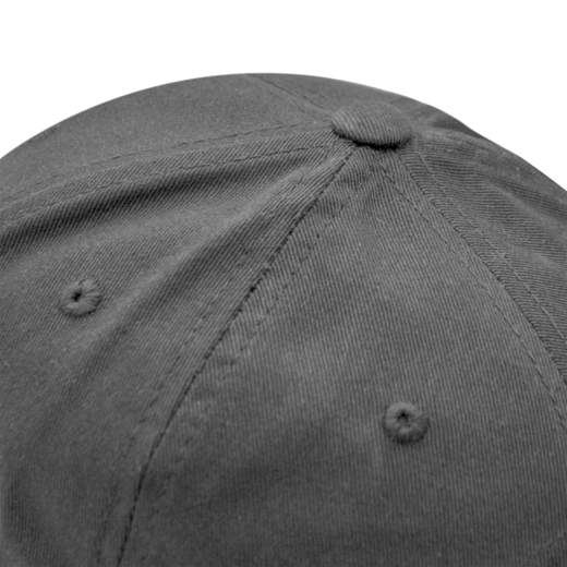 Pretorian "PS 3D White" Cap - Gray