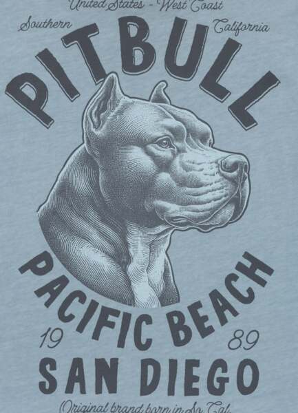 PIT BULL Denim Washed Raw Men&#39;s T-Shirt &quot;PACIFIC&quot; - Blue