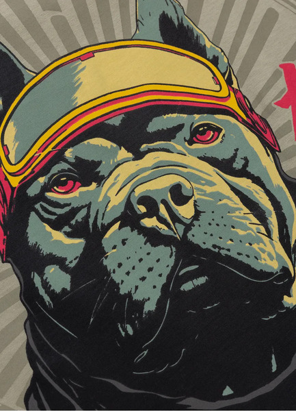 PIT BULL &quot;MT. FUJI&quot; Men&#39;s T-Shirt - Grey Olive