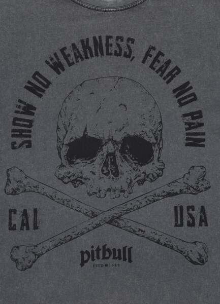 Washed PIT BULL "FEAR NO PAIN" T-shirt - graphite