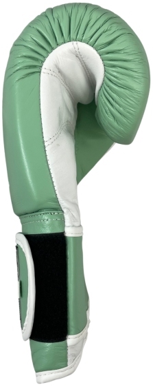 MASTERS RBT-PASTEL boxing gloves - green