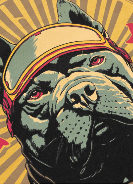 PIT BULL Denim Washed Men&#39;s T-Shirt &quot;MT. FUJI&quot; - Yellow