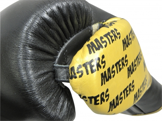 Masters RBT-PROFESSIONAL boxing gloves