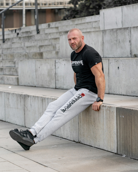 Spodnie dresowe Dobermans Aggressive "Classic Sun SPD349" - szare