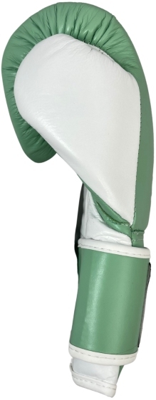 MASTERS RBT-PASTEL boxing gloves - green