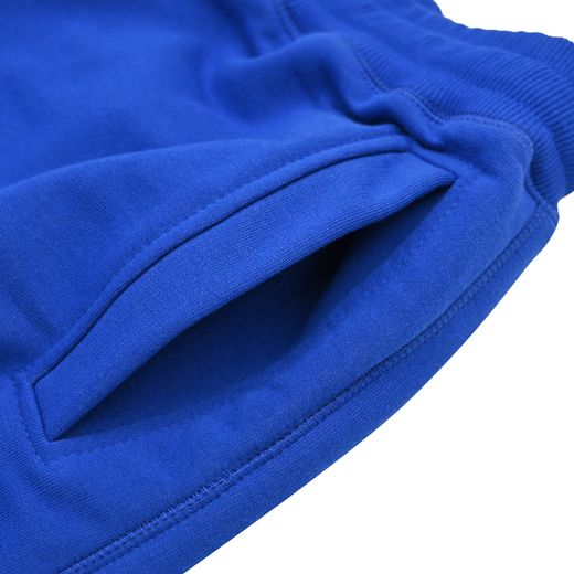 Shorts Pretorian "Logo" - blue