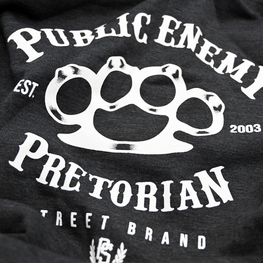 Hoodie Pretorian  "Public Enemy" - grey