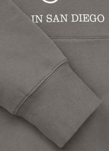 PIT BULL "SO CAL" Men's Hoodie - Taupe