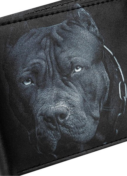 Portfel PIT BULL "Roswell Born In 1989"