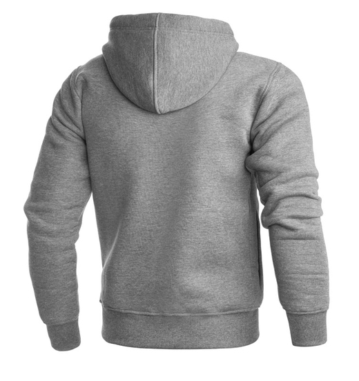 Hoodie Pretorian "Fight Division" - grey