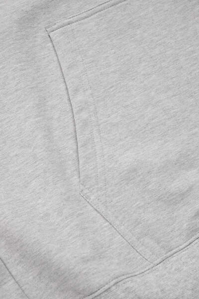 Bluza z kapturem PIT BULL "SMALL LOGO NUGGET" - szary