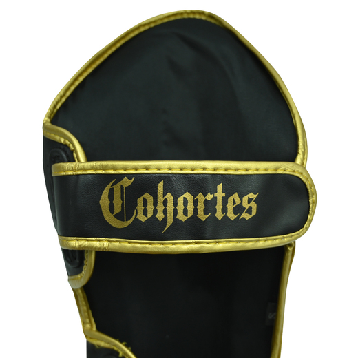Cohortes "Gold Armis" shin and foot protectors