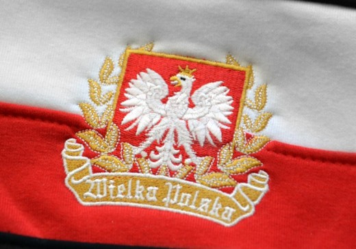 Bluza patriotyczna z kapturem czarna pasy Aquila "Polska" 