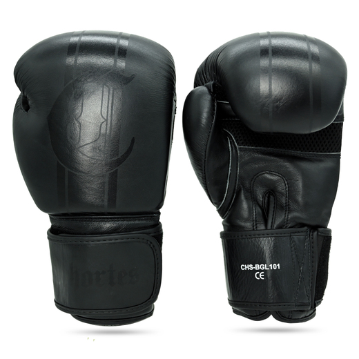 Leather boxing gloves Cohortes "Primus"