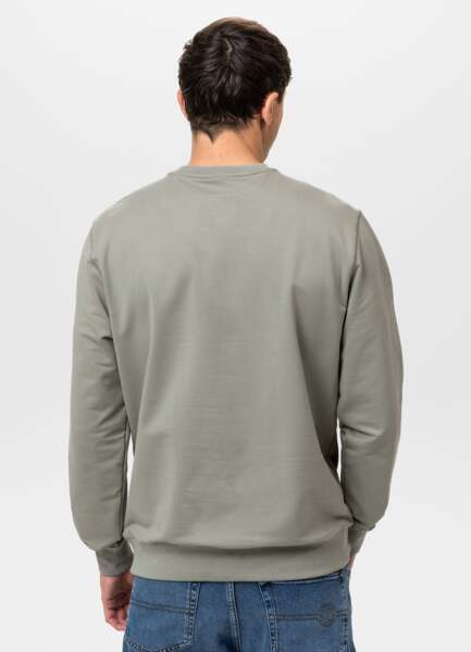 PIT BULL &quot;SURFING DOG&quot; sweatshirt - sage