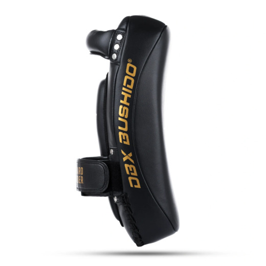PAO Gold Thai Shields pair | ProFighter | DBX Bushido