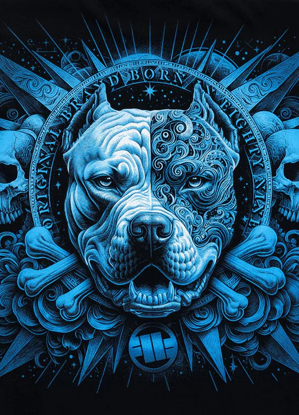 Koszulka męska PIT BULL "WORLD" - czarny