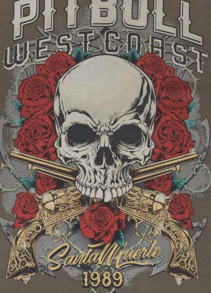 Men's hoodie PIT BULL WASHED "SANTA MUERTE" - olive