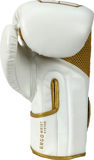  MASTERS RPU-ANGEL boxing gloves 