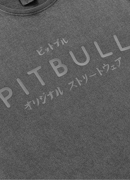 Koszulka męska PIT BULL Denim Washed "MT. FUJI" - szary