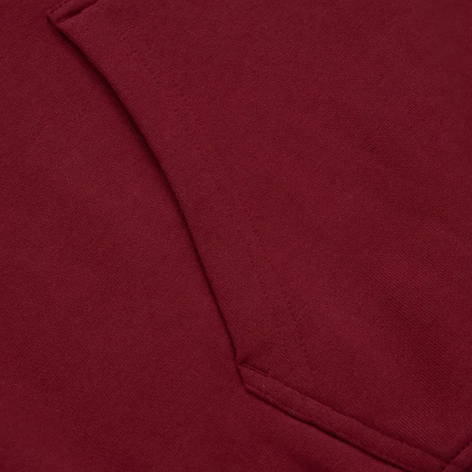 PIT BULL &quot;Everts&quot; hoodie - burgundy