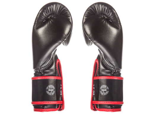 Boxing gloves FAIRTEX FAIRTEX BGV14 (black / red piping) "Microfiber"