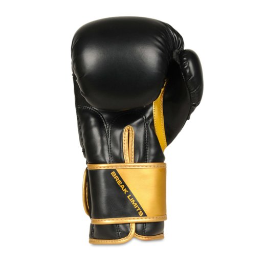 Bushido boxing gloves - B-2v10