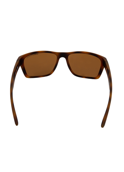 PIT BULL &quot;Shirra&quot; sunglasses - brown / brown