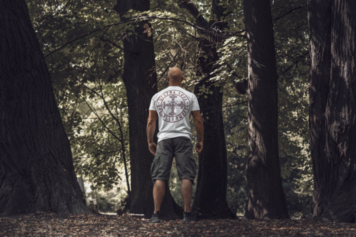 Koszulka T-shirt Dobermans Aggressive "THORS CROSS" TS386 - szara