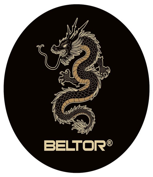 BELTOR KARATE MAGNES / KARATE MAGNET "GOLD DRAGON" 60x60mm B4003