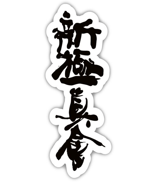 BELTOR KARATE MAGNES / KARATE MAGNET "KANJI SHINKYOKUSHINKAI" black on white - czarne logo na białym tle 36x80mm B3997